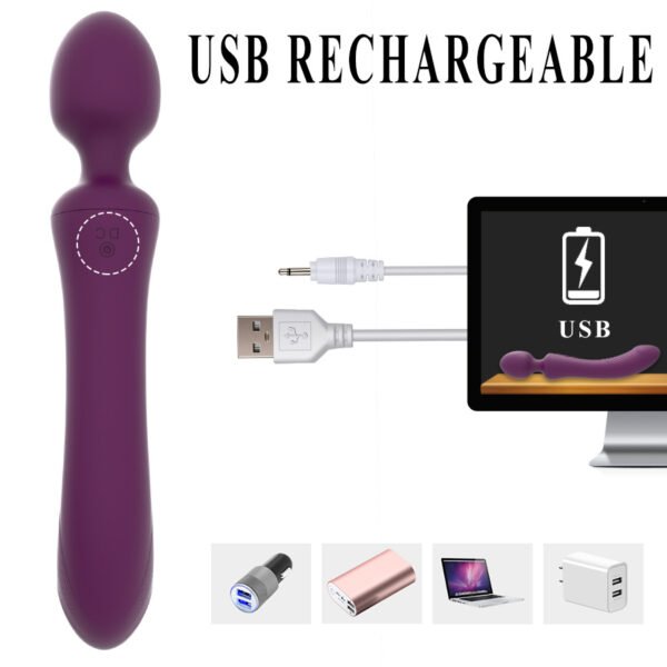 Charging dual head dual strong motion AV vibrator